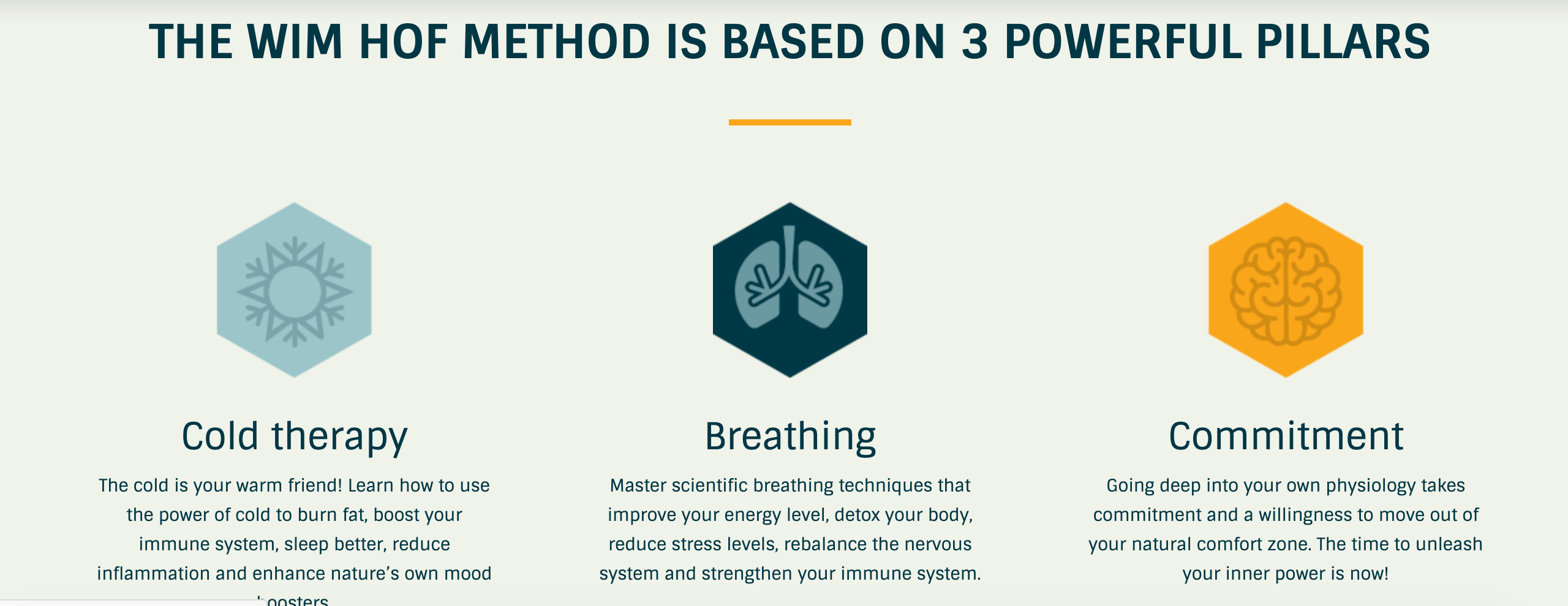 wim hof method