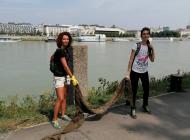 Danube cleanup 