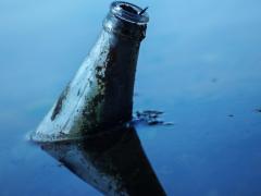 river cleanup danube