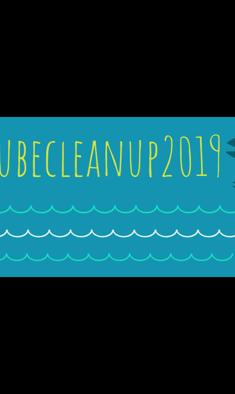 Danube cleanup